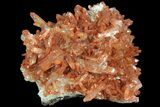 Natural, Red Quartz Crystal Cluster - Morocco #84378-2